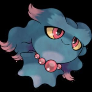 Meet your Posher, Rosie